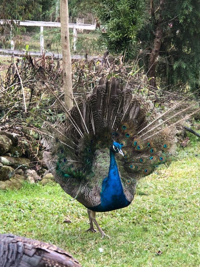 Pousada Ilhas Do Sol Senador Amaral Dış mekan fotoğraf